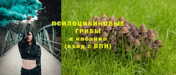не бодяженный Лагань