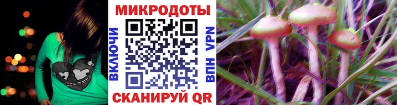 наркота  Слободской  Псилоцибиновые грибы Cubensis 