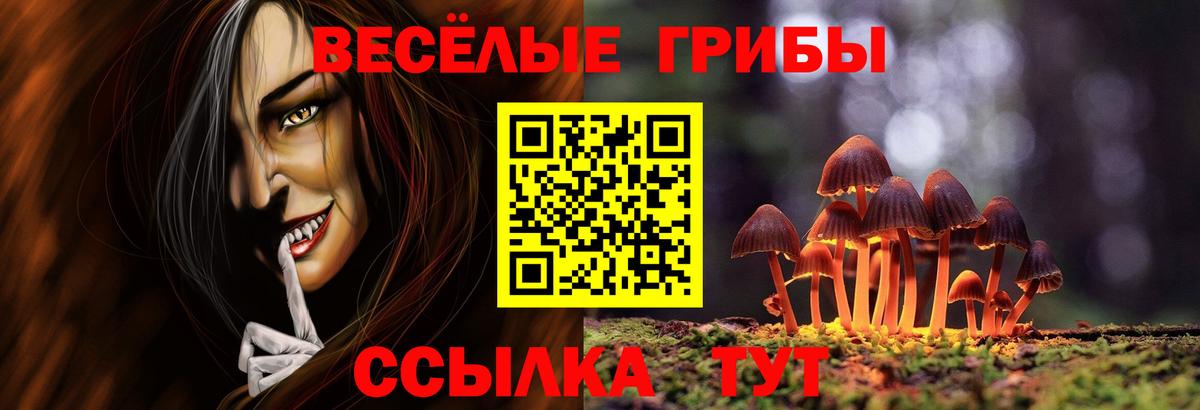 Слободской  дарнет шоп  Вход с VPN  Галлюциногенные грибы Magic Shrooms 